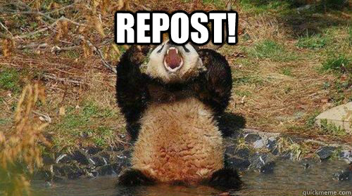 repost!  - repost!   Yelling Panda