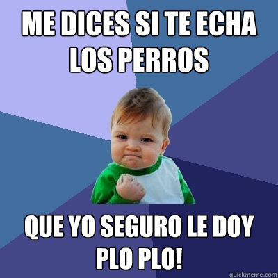 Me dices si te echa los perros Que yo seguro le doy plo plo!  Success Kid