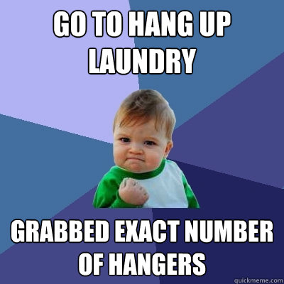 Go to hang up laundry Grabbed exact number of hangers - Go to hang up laundry Grabbed exact number of hangers  Success Kid