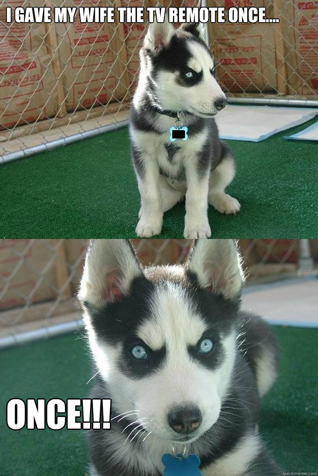I gave my wife the tv remote once.... once!!!  Insanity puppy