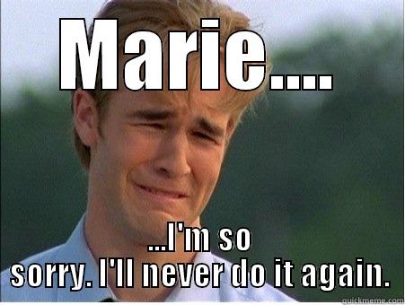 Marie meme - MARIE.... ...I'M SO SORRY. I'LL NEVER DO IT AGAIN. 1990s Problems