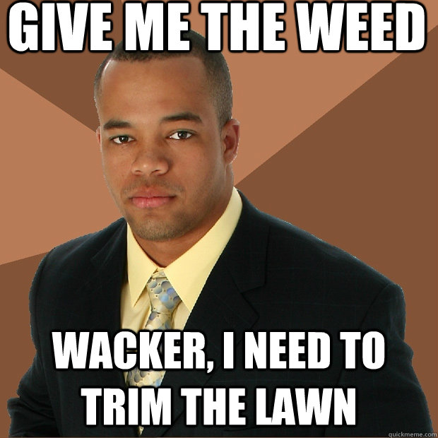 Give me the weed Wacker, i need to trim the lawn  Successful Black Man