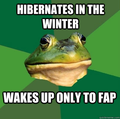 hibernates in the winter wakes up only to fap  Foul Bachelor Frog