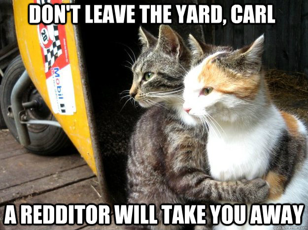 Don't leave the yard, Carl A redditor will take you away  Restraining Cat