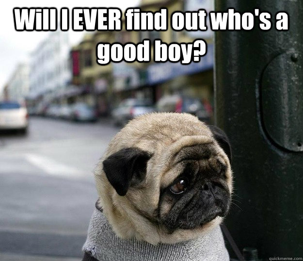 Will I EVER find out who's a good boy?  - Will I EVER find out who's a good boy?   Misc