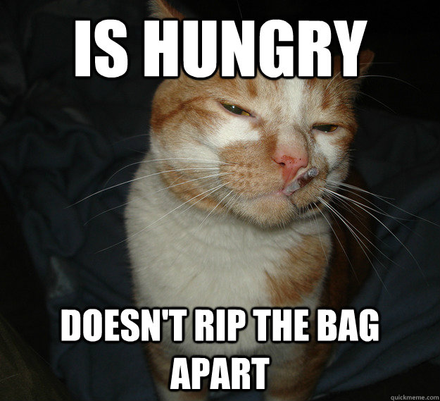 Is hungry Doesn't rip the bag apart  Cool Cat Craig