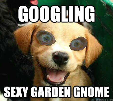 googling sexy garden gnome  Pervy Meme