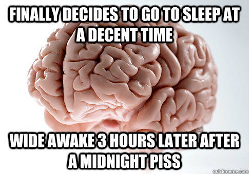 Finally decides to go to sleep at a decent time Wide awake 3 hours later after a midnight piss  Scumbag Brain
