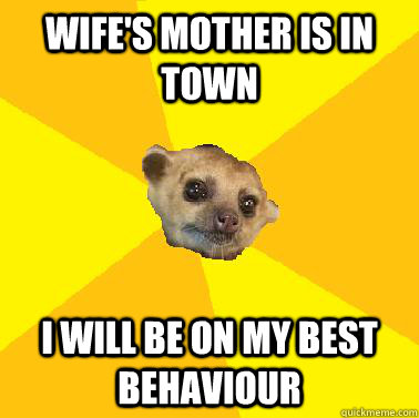 Wife's mother is in town I will be on my best behaviour  - Wife's mother is in town I will be on my best behaviour   Kind Husband Kinkajou