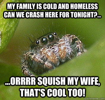my family is cold and homeless can we crash here for tonight?... ...orrrr squish my wife, that's cool too!  Misunderstood Spider