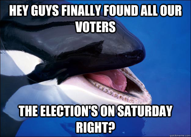 hey guys finally found all our voters The election's on Saturday right?  Orca Fail Whale