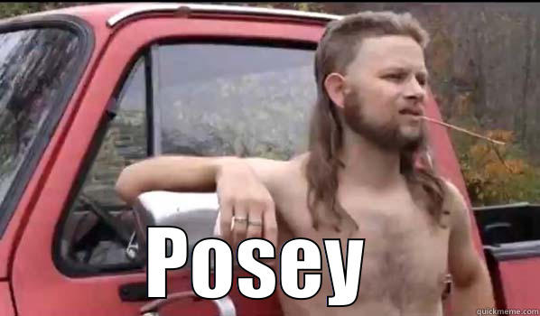  POSEY  Almost Politically Correct Redneck