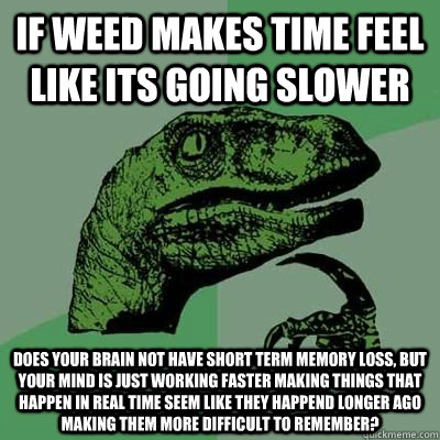 If weed makes time feel like its going slower Does your brain not have short term memory loss, but your mind is just working faster making things that happen in real time seem like they happend longer ago making them more difficult to remember? - If weed makes time feel like its going slower Does your brain not have short term memory loss, but your mind is just working faster making things that happen in real time seem like they happend longer ago making them more difficult to remember?  Philosoraptor Elecmoron