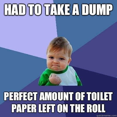 Had to take a dump Perfect amount of toilet paper left on the roll  Success Kid