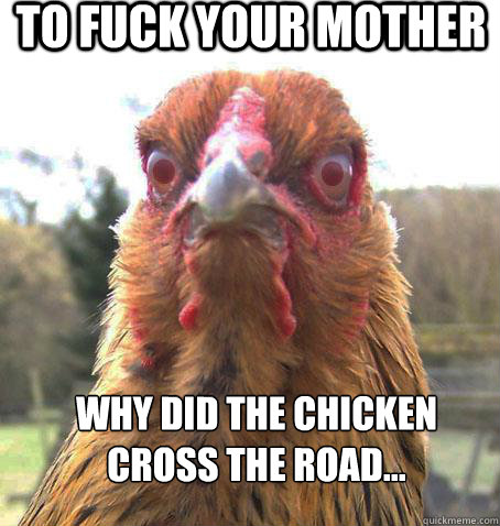 Why did the chicken cross the road... To fuck your mother  RageChicken