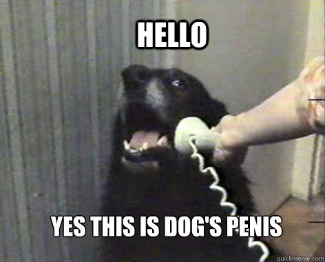 Hello Yes this is dog's penis - Hello Yes this is dog's penis  yes this is dog
