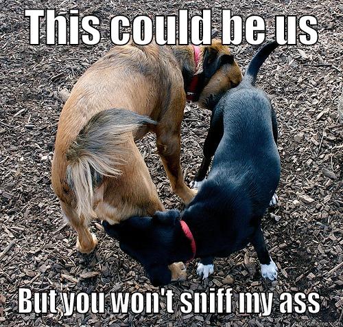    THIS COULD BE US    BUT YOU WON'T SNIFF MY ASS Misc