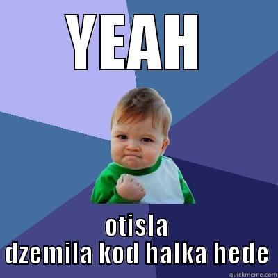 YEAH OTISLA DZEMILA KOD HALKA HEDE Success Kid