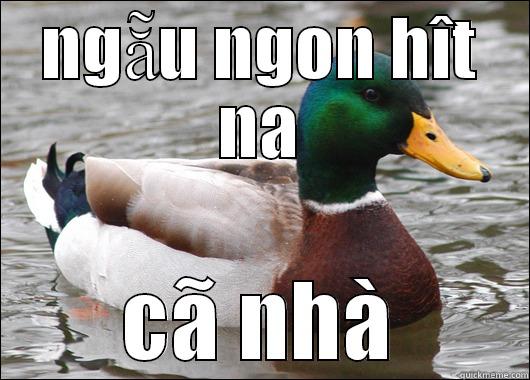 NGẴU NGON HÎT NA CÃ NHÀ Actual Advice Mallard