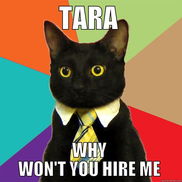 TARA WHY WON'T YOU HIRE ME Business Cat