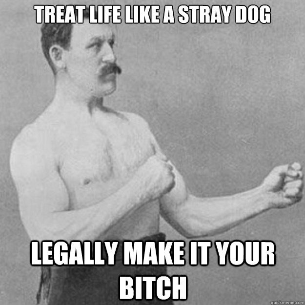 Treat life like a stray dog Legally make it your bitch - Treat life like a stray dog Legally make it your bitch  overly manly man