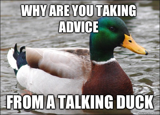 Why are you taking advice From a talking duck  Actual Advice Mallard