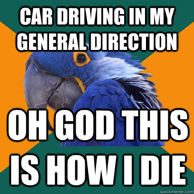 Car driving in my general direction oh god this is how i die  Paranoid Parrot