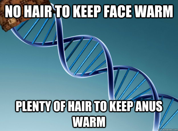 No hair to keep face warm Plenty of hair to keep anus warm - No hair to keep face warm Plenty of hair to keep anus warm  Scumbag Genetics