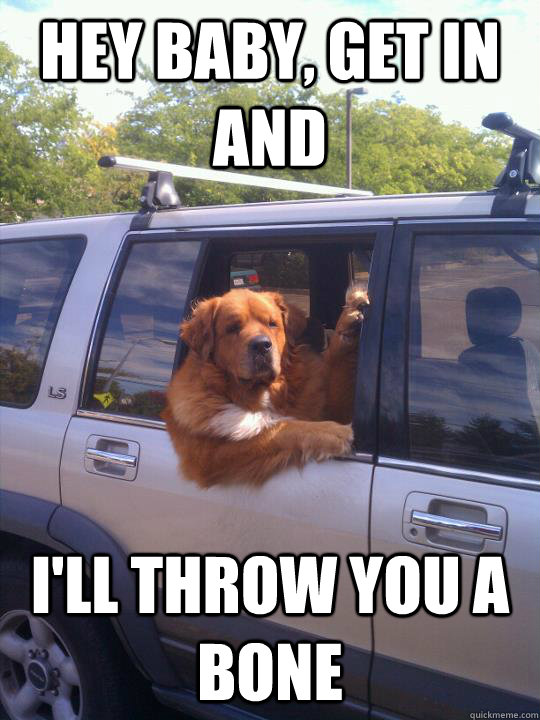 Pickup Line Dog memes quickmeme