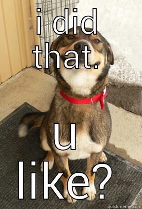 I DID THAT. U LIKE? Good Dog Greg