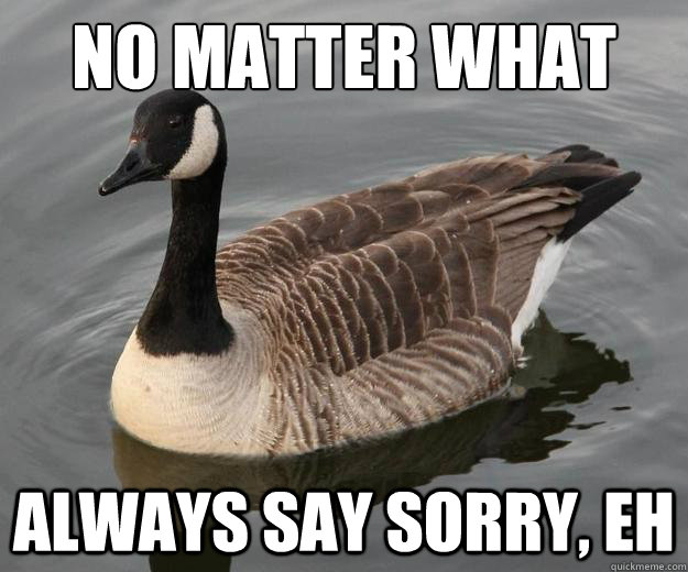 No matter what Always say sorry, eh  Actual Advice Canadian Goose