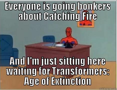 EVERYONE IS GOING BONKERS ABOUT CATCHING FIRE AND I'M JUST SITTING HERE WAITING FOR TRANSFORMERS: AGE OF EXTINCTION Spiderman Desk
