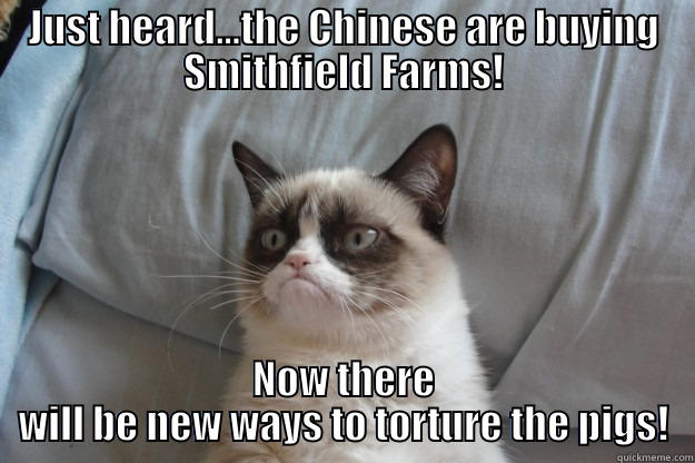JUST HEARD...THE CHINESE ARE BUYING SMITHFIELD FARMS! NOW THERE WILL BE NEW WAYS TO TORTURE THE PIGS! Grumpy Cat