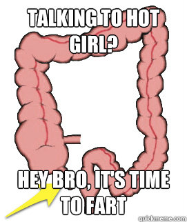 talking to hot girl? hey bro, it's time to fart  