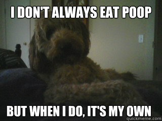 I don't always eat poop but when i do, it's my own - I don't always eat poop but when i do, it's my own  Dos Equis Dog