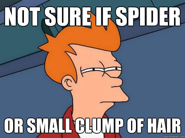 not sure if spider or small clump of hair - not sure if spider or small clump of hair  Futurama Fry