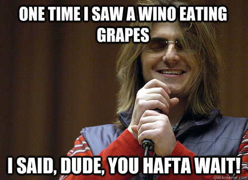 One time I saw a wino eating grapes I said, dude, you hafta wait! - One time I saw a wino eating grapes I said, dude, you hafta wait!  Mitch Hedberg Meme