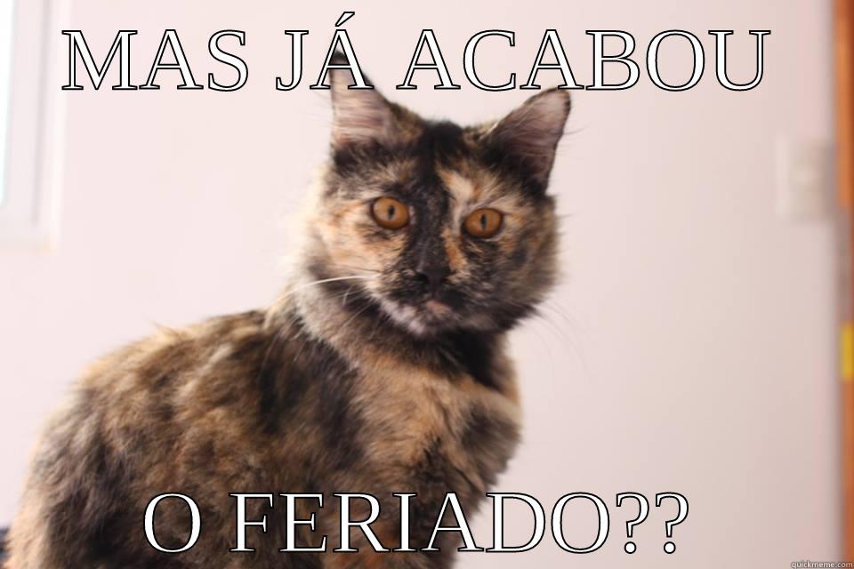 MAS JÁ ACABOU O FERIADO?? Misc