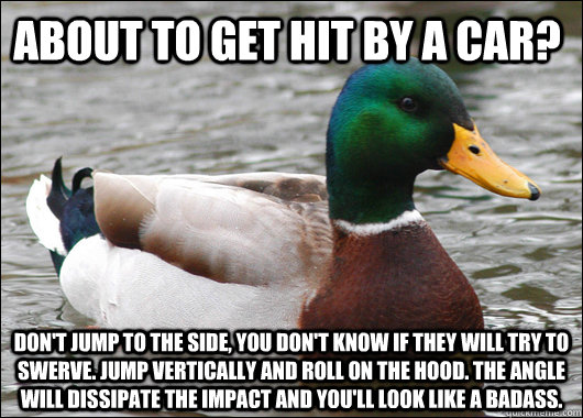 About to get hit by a car? Don't jump to the side, you don't know if they will try to swerve. Jump vertically and roll on the hood. THe angle will dissipate the impact and you'll look like a badass.  Actual Advice Mallard