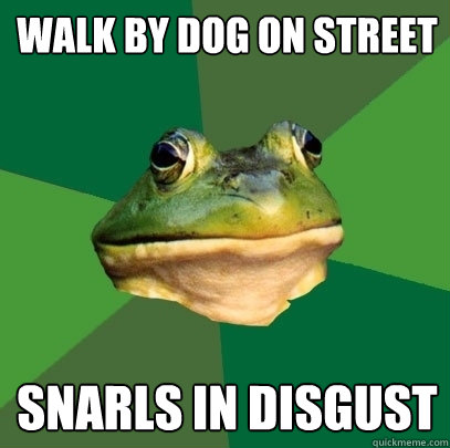 walk by dog on street snarls in disgust  Foul Bachelor Frog