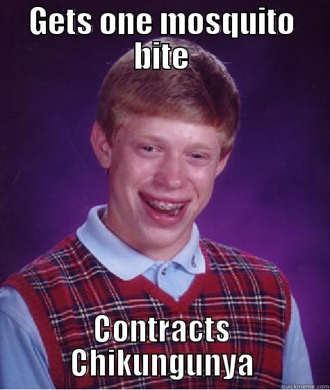 GETS ONE MOSQUITO BITE CONTRACTS CHIKUNGUNYA Bad Luck Brian