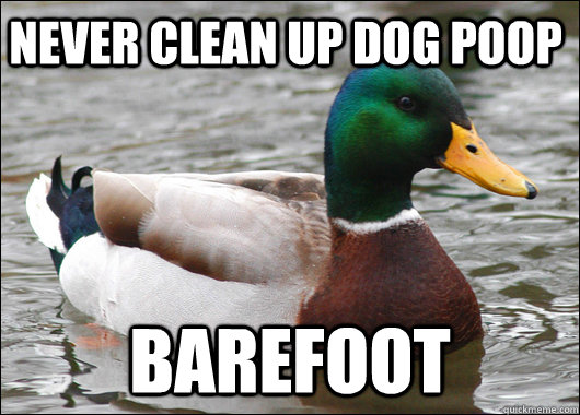 Never clean up dog poop Barefoot  Actual Advice Mallard