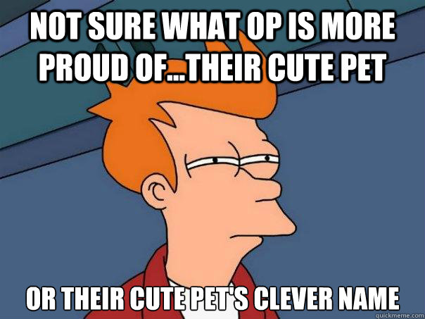 Not sure what OP is more proud of...their cute pet or their cute pet's clever name - Not sure what OP is more proud of...their cute pet or their cute pet's clever name  Misc