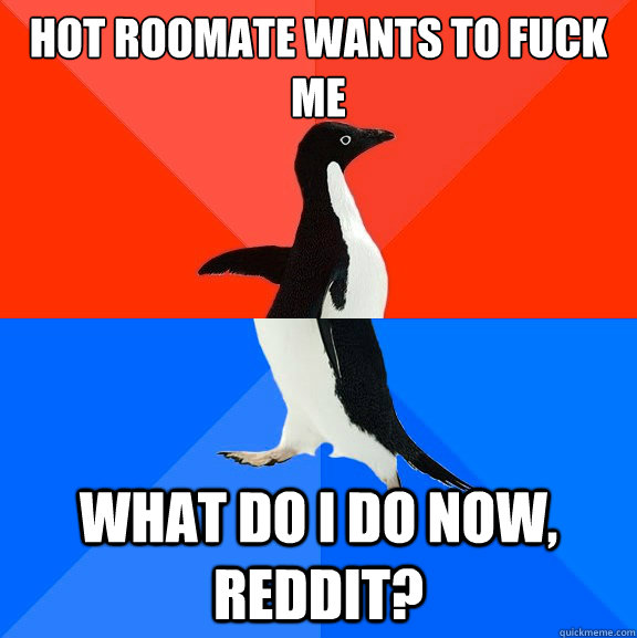 hot roomate wants to fuck me what do i do now, reddit?  Socially Awesome Awkward Penguin
