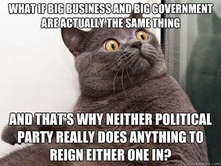 what if big business and big government are actually the same thing and that's why neither political party really does anything to reign either one in?  conspiracy cat