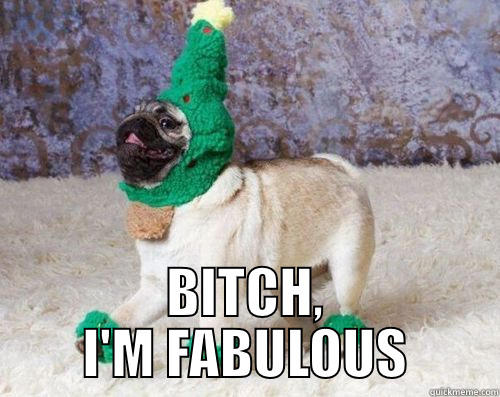  BITCH, I'M FABULOUS Misc