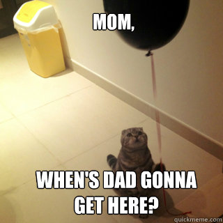 Mom, When's dad gonna get here?  Sad Birthday Cat