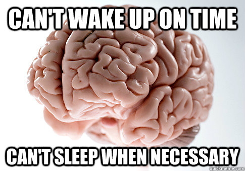 can't wake up on time can't sleep when necessary  Scumbag Brain