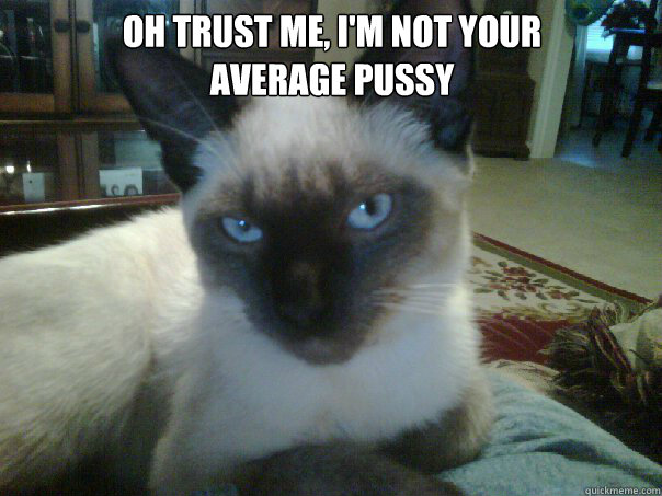 Oh Trust me, I'm not your
Average Pussy  Not your average pussy
