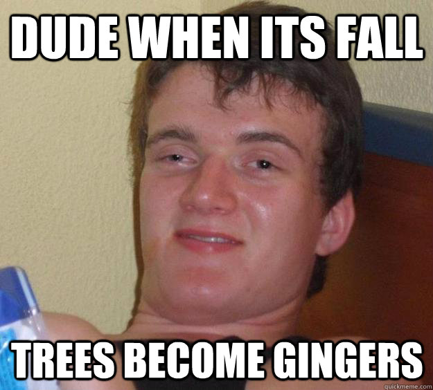 dude when its fall trees become gingers - dude when its fall trees become gingers  10 Guy
